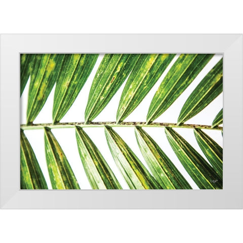 Leaf Study I White Modern Wood Framed Art Print by Quillen, Donnie