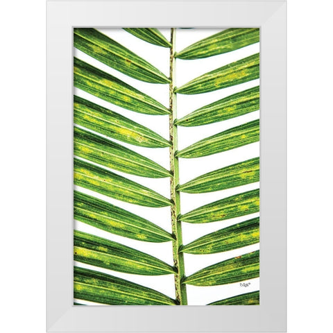 Leaf Study II White Modern Wood Framed Art Print by Quillen, Donnie