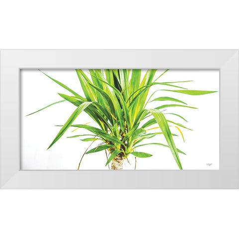 Leafy Days White Modern Wood Framed Art Print by Quillen, Donnie