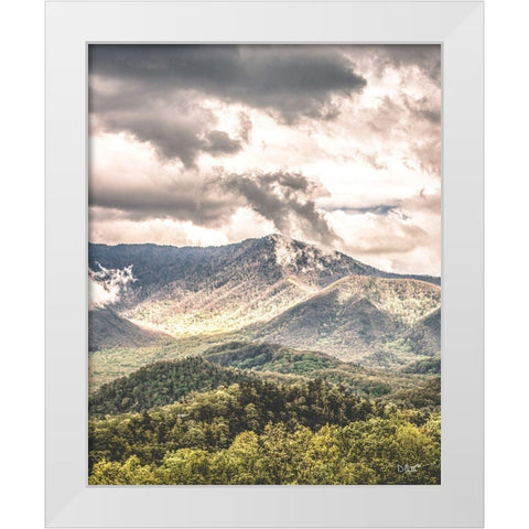 After the Storm White Modern Wood Framed Art Print by Quillen, Donnie
