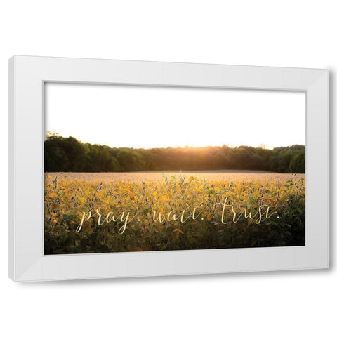 Pray-Wait-Trust White Modern Wood Framed Art Print by Quillen, Donnie