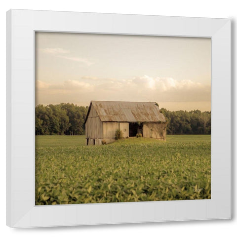 Rural Barn White Modern Wood Framed Art Print by Quillen, Donnie