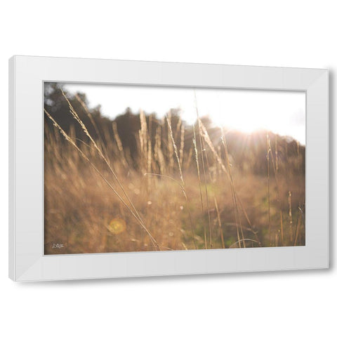 Bright Sun Haze II White Modern Wood Framed Art Print by Quillen, Donnie