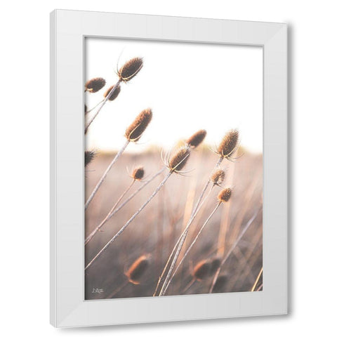 Field of Dreams II White Modern Wood Framed Art Print by Quillen, Donnie