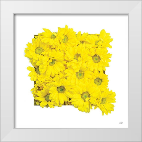 Floral Pop II White Modern Wood Framed Art Print by Quillen, Donnie