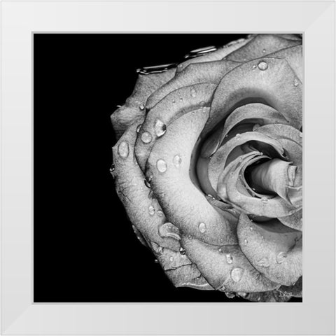 Lost Love White Modern Wood Framed Art Print by Quillen, Donnie