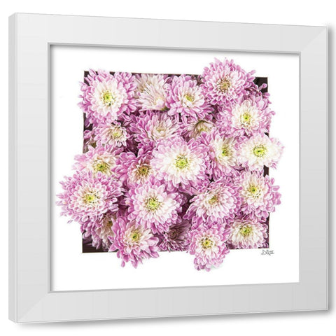 Pretty in Purple II White Modern Wood Framed Art Print by Quillen, Donnie