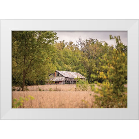 Barn in the Country II White Modern Wood Framed Art Print by Quillen, Donnie