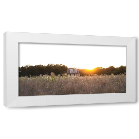 Field Find  White Modern Wood Framed Art Print by Quillen, Donnie