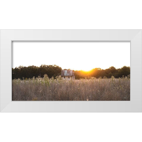 Field Find  White Modern Wood Framed Art Print by Quillen, Donnie