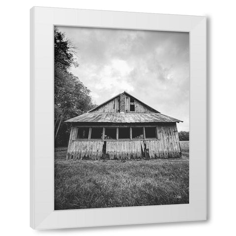 Seen Better Days  White Modern Wood Framed Art Print by Quillen, Donnie