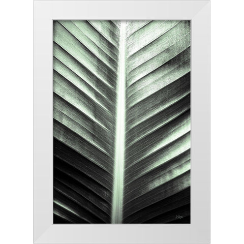 Leaf Lines White Modern Wood Framed Art Print by Quillen, Donnie