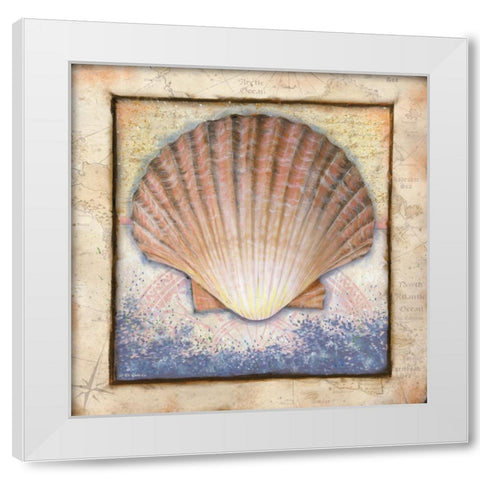 Shell White Modern Wood Framed Art Print by Wargo, Ed