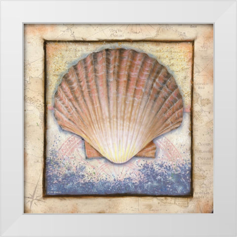 Shell White Modern Wood Framed Art Print by Wargo, Ed