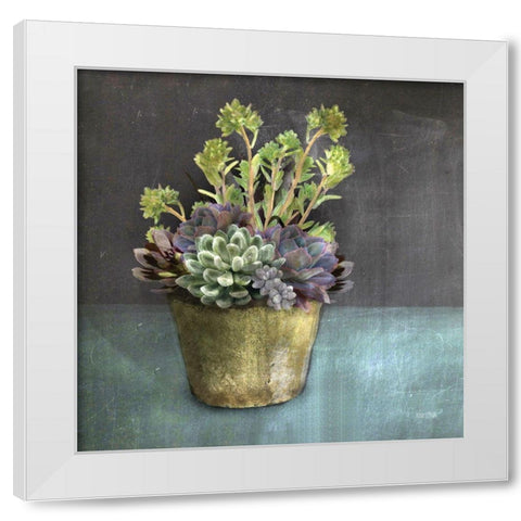 Succulents White Modern Wood Framed Art Print by House Fenway