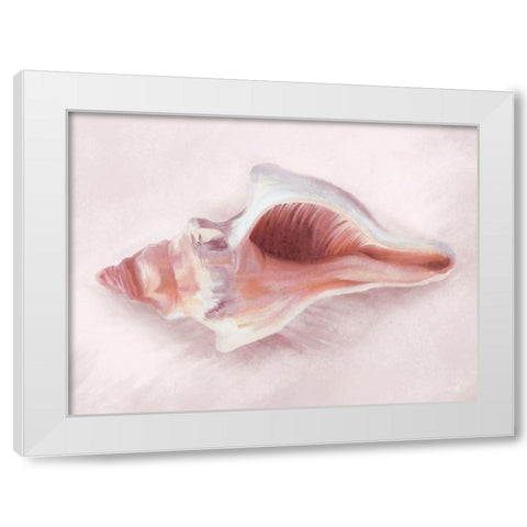 Conch Shell Blush II White Modern Wood Framed Art Print by House Fenway