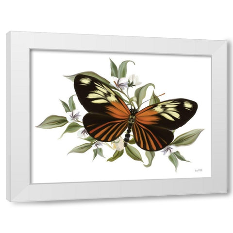 Botanical Butterfly Heliconius    White Modern Wood Framed Art Print by House Fenway