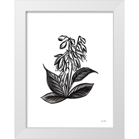 Pen and Ink Wildflower III White Modern Wood Framed Art Print by House Fenway