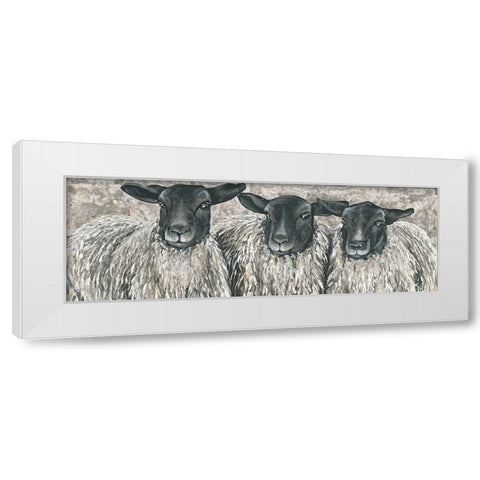 Three Sheep   White Modern Wood Framed Art Print by Hollihocks Art