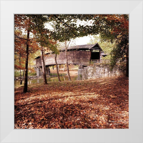 Humpback Fall White Modern Wood Framed Art Print by Hoover, Irvin