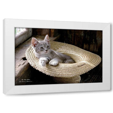 The Hat Kitten White Modern Wood Framed Art Print by Hoover, Irvin