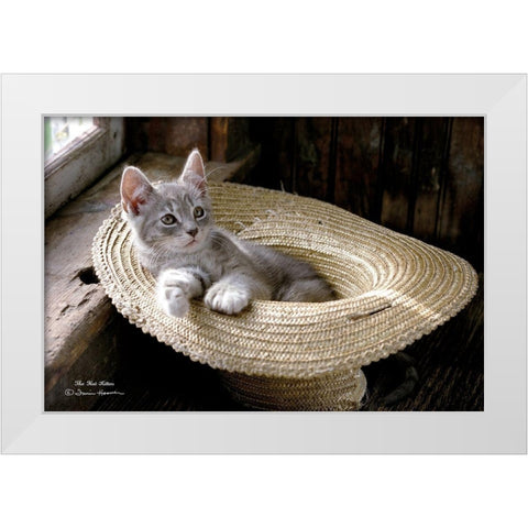 The Hat Kitten White Modern Wood Framed Art Print by Hoover, Irvin