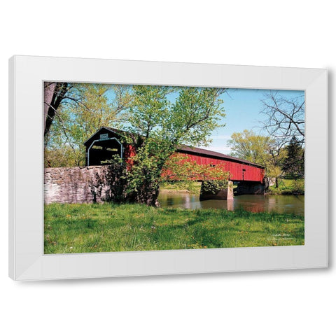 Delville Bridge White Modern Wood Framed Art Print by Hoover, Irvin