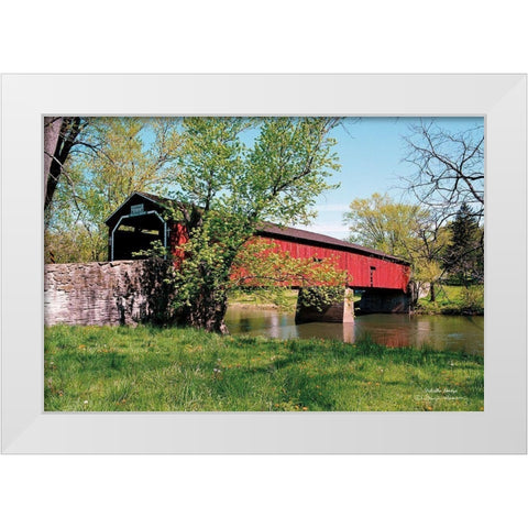 Delville Bridge White Modern Wood Framed Art Print by Hoover, Irvin