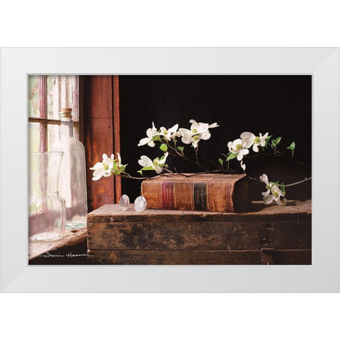 Natures Law White Modern Wood Framed Art Print by Hoover, Irvin