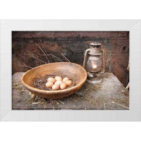Egg Bowl White Modern Wood Framed Art Print by Hoover, Irvin