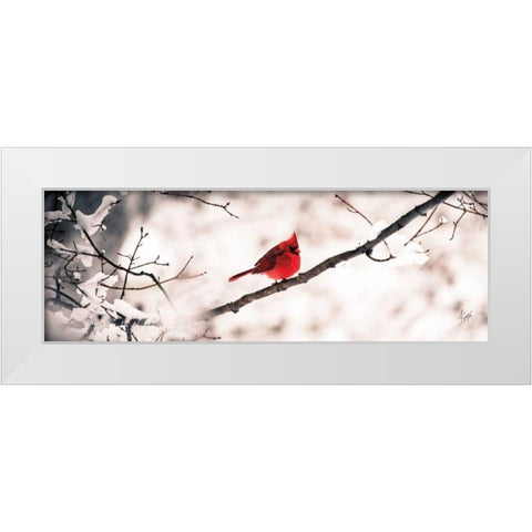 Cardinal III White Modern Wood Framed Art Print by Spivey, Justin