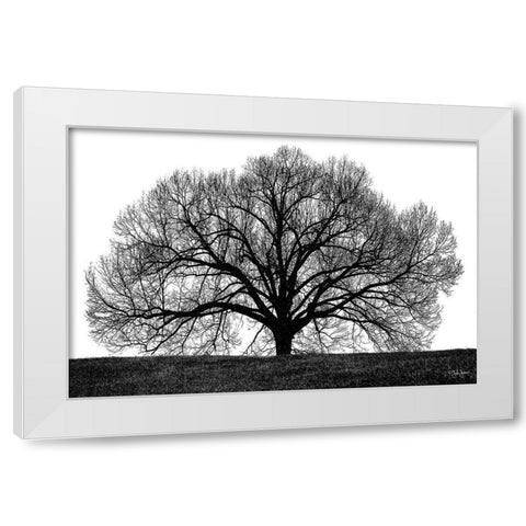 The Tree White Modern Wood Framed Art Print by Jones, John