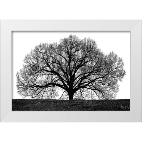 The Tree White Modern Wood Framed Art Print by Jones, John