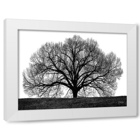The Tree White Modern Wood Framed Art Print by Jones, John