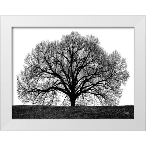 The Tree White Modern Wood Framed Art Print by Jones, John