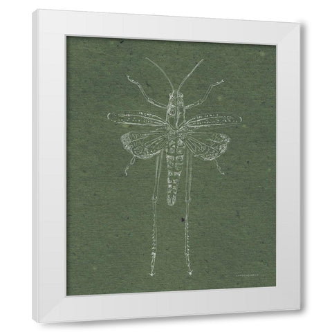 Now Climb Young Grasshopper White Modern Wood Framed Art Print by Kamdon Kreations
