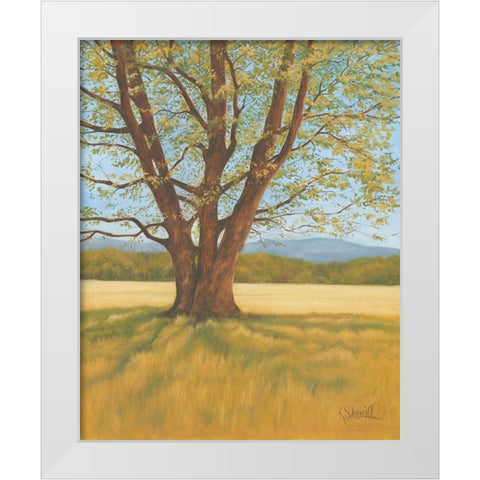 Spring Meadow White Modern Wood Framed Art Print by Sherrill, Kate