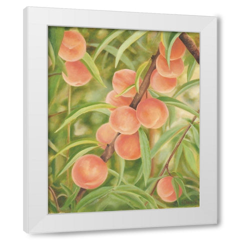 Peach Perfect White Modern Wood Framed Art Print by Sherrill, Kate