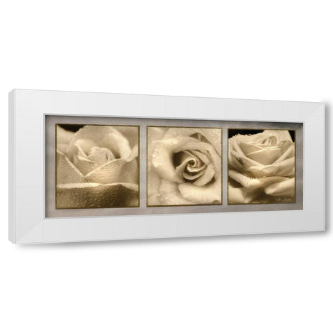 Rose Trio White Modern Wood Framed Art Print by Deiter, Lori
