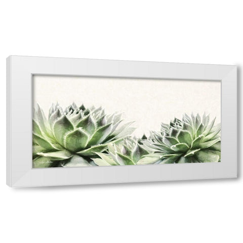 Soft Succulents I White Modern Wood Framed Art Print by Deiter, Lori