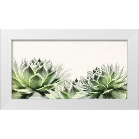 Soft Succulents I White Modern Wood Framed Art Print by Deiter, Lori