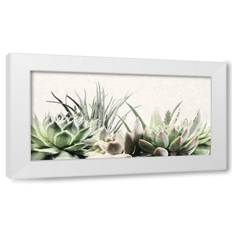 Soft Succulents II White Modern Wood Framed Art Print by Deiter, Lori