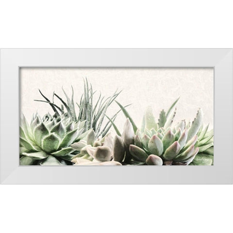 Soft Succulents II White Modern Wood Framed Art Print by Deiter, Lori