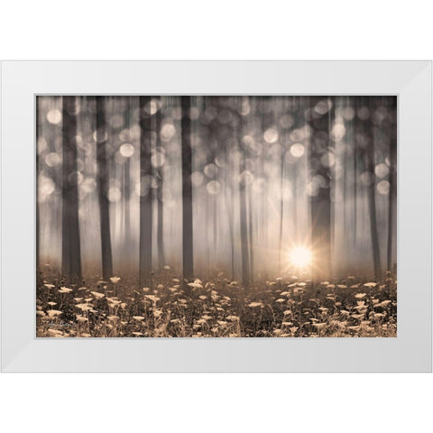 Enchanted Morning White Modern Wood Framed Art Print by Deiter, Lori