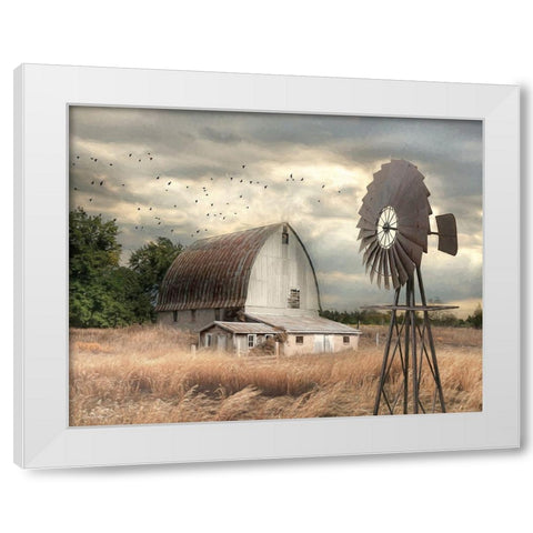 Henderson Bay Farm   White Modern Wood Framed Art Print by Deiter, Lori