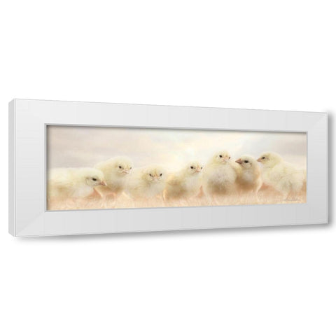 Spring Line Up White Modern Wood Framed Art Print by Deiter, Lori