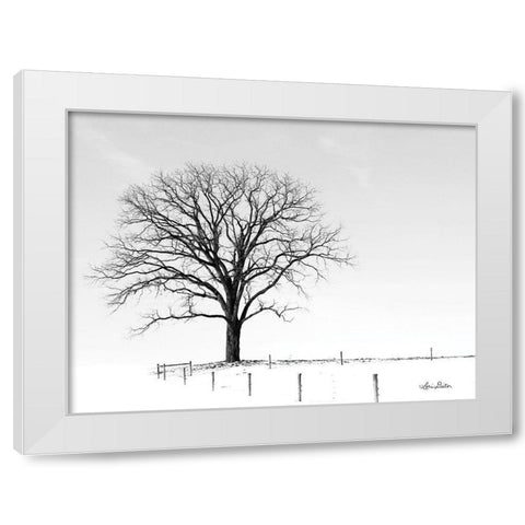 Bare White Modern Wood Framed Art Print by Deiter, Lori