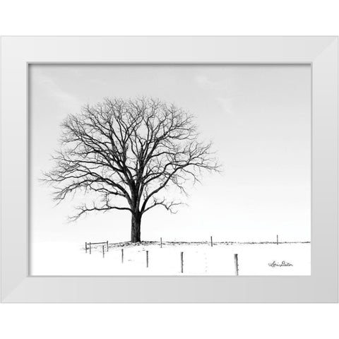 Bare White Modern Wood Framed Art Print by Deiter, Lori