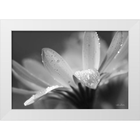 Daisy White Modern Wood Framed Art Print by Deiter, Lori