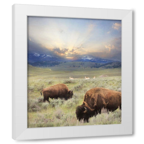 Great American West        White Modern Wood Framed Art Print by Deiter, Lori